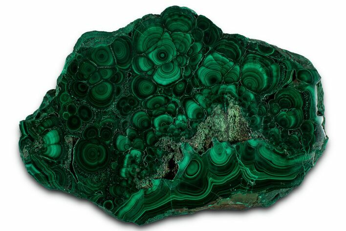 Flowery Polished Malachite Slab - DR Congo #350842